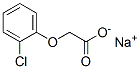 13730-72-8 structure