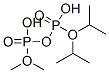 40731-72-4 structure