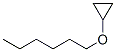 5462-72-6 structure