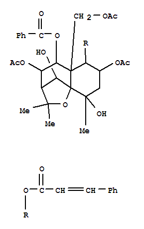 120722-05-6 structure