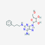 124499-05-4 structure