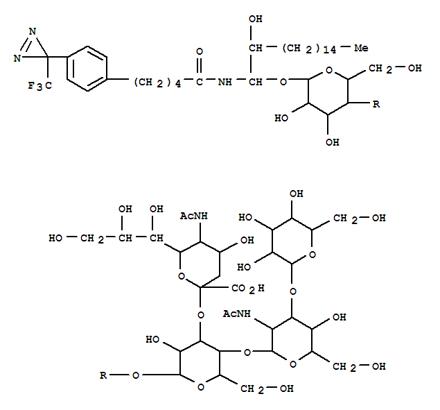 131966-72-8 structure